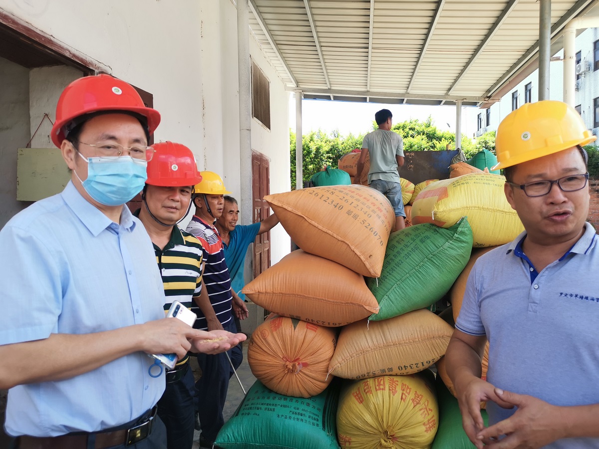 省糧食和儲備局黨組成員、副局長吳津偉帶隊前往云浮羅定市督導(dǎo)調(diào)研9fb09211c3d24912b29c8e3ba4a67671.jpg