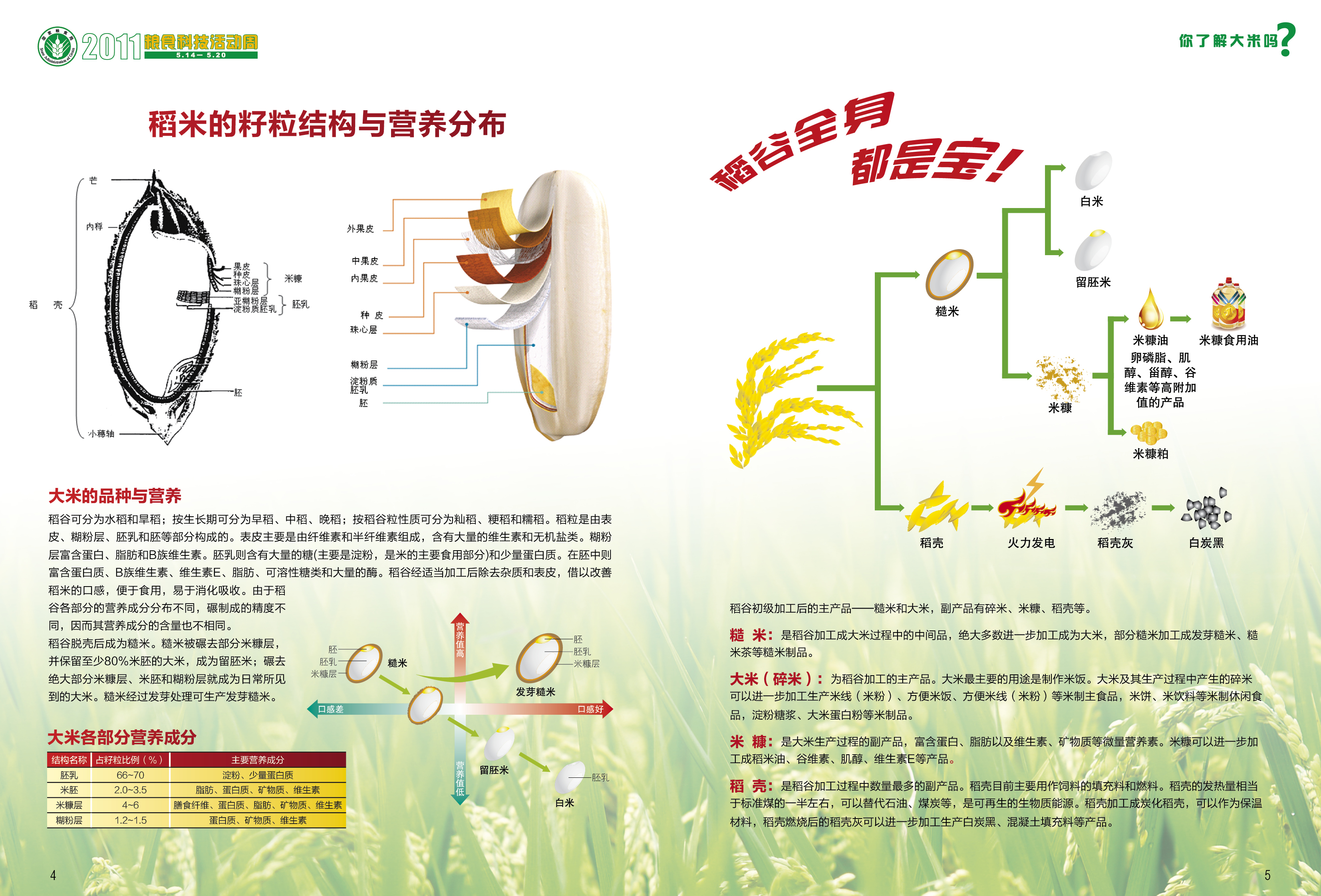 大米營養與健康-4.jpg